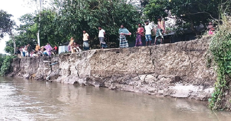 বগুড়ায় বাঙালি নদীর ভয়াবহ ভাঙন: বিলীন হচ্ছে গ্রাম