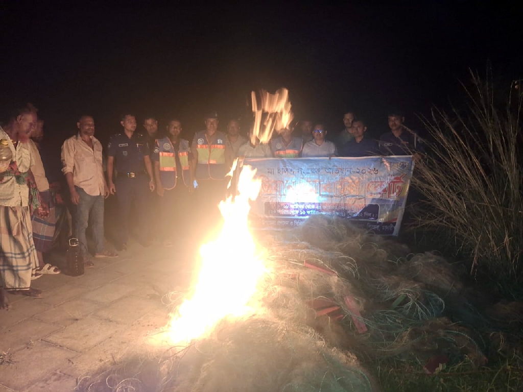 শিবচরে মা ইলিশ রক্ষার অভিযান, ১০ জেলের কারাদণ্ড ও দেড় লাখ মিটার জাল ধ্বংস