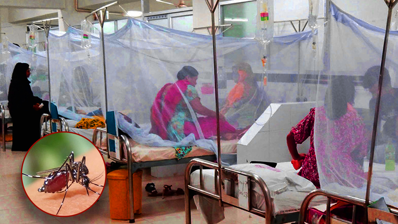 রামেকে ডেঙ্গুতে আরও এক নারীর মৃত্যু, হাসপাতালে ভর্তি ১৩৯