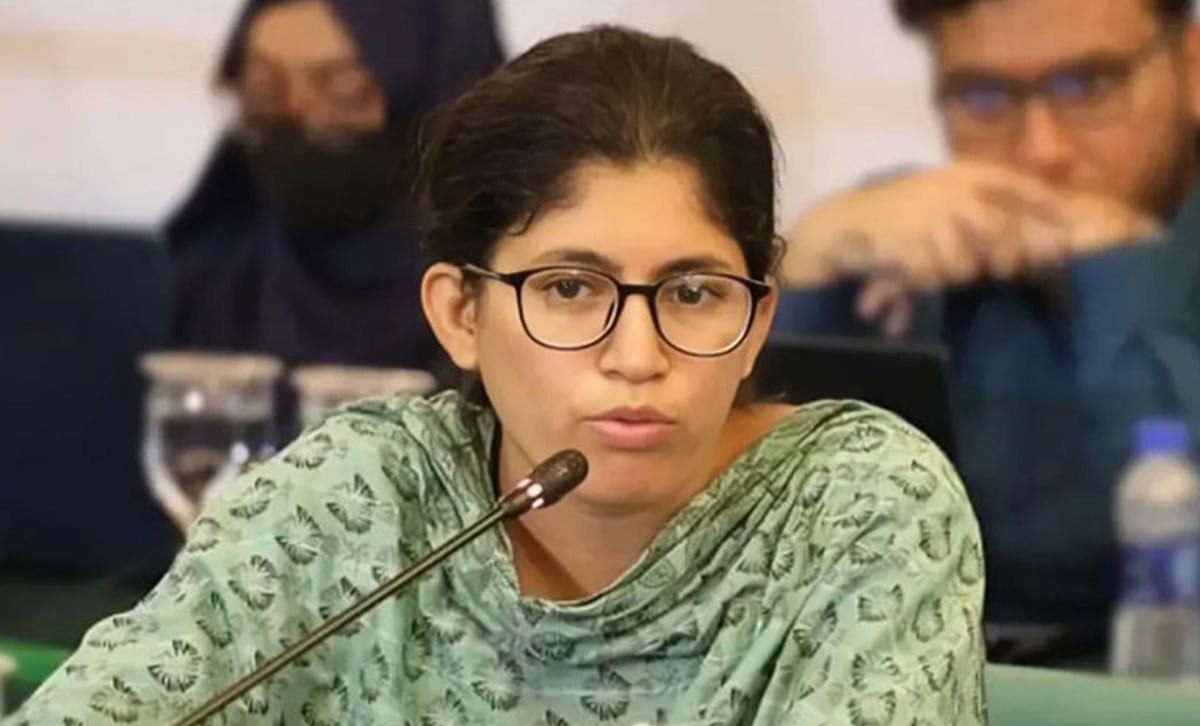 জামায়াত-আওয়ামী লীগ নিয়ে উমামা ফাতেমার মন্তব্য, জুলাই আন্দোলনের নেতৃত্ব নিয়েও প্রশ্ন