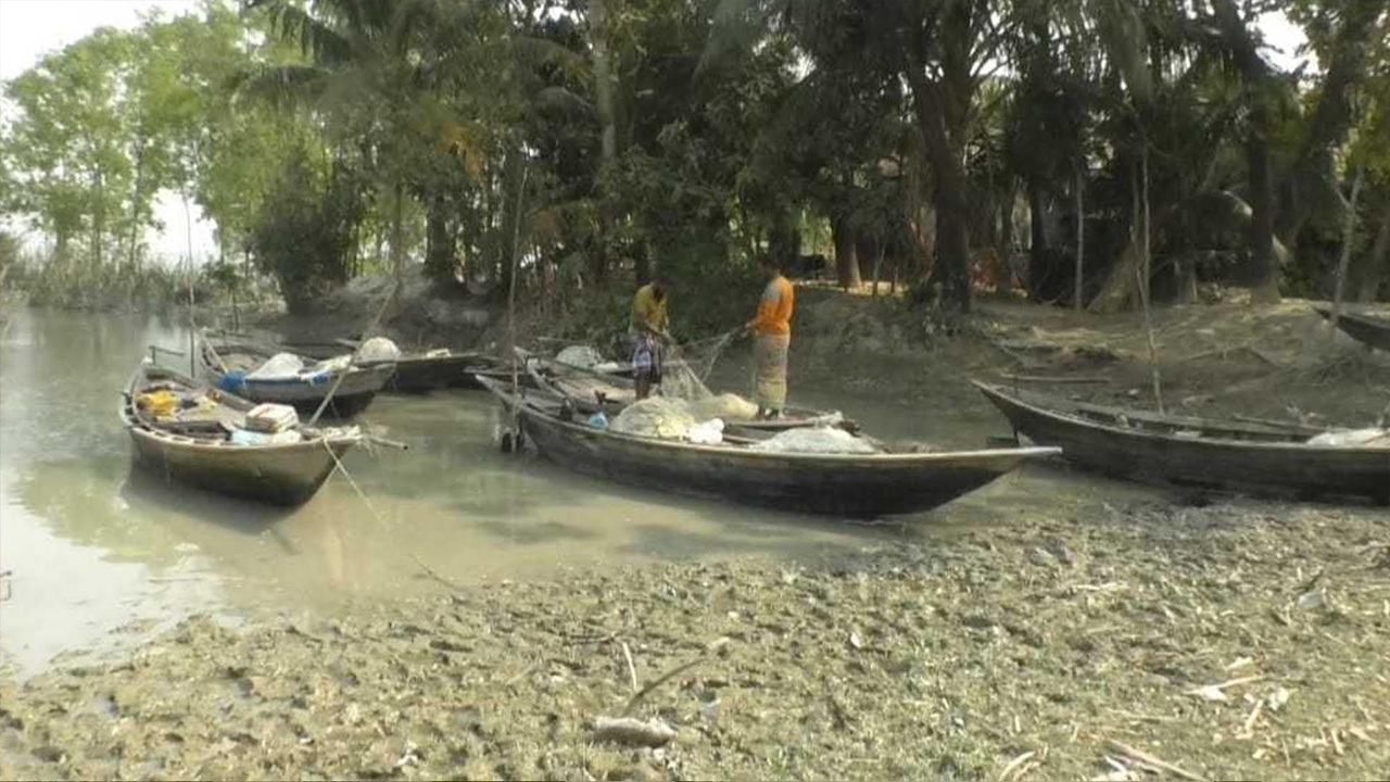ভরা মৌসুমেও নদীতে ইলিশের সংকট, খালি হাতে ফিরছেন জেলেরা