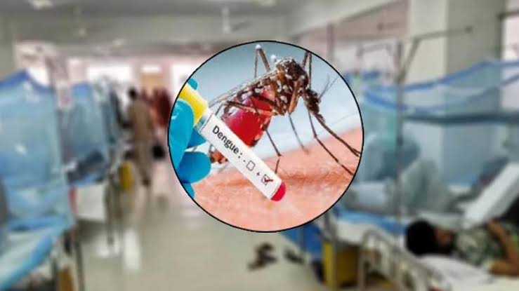 ডেঙ্গুর প্রকোপ বাড়ছে, ২৪ ঘণ্টায় ৪ মৃত্যু ও রেকর্ড ১১৬৩ শনাক্ত