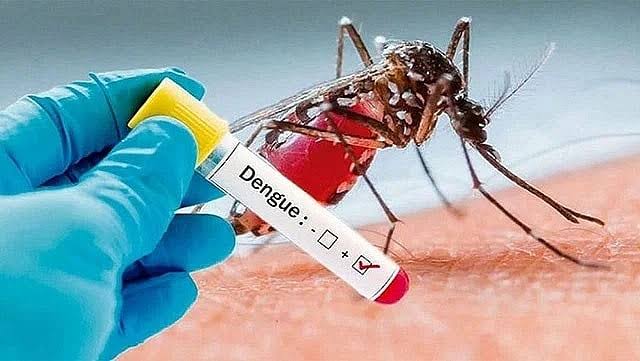 রামেকে এক দিনে ২৯ ডেঙ্গু রোগী ভর্তি, মৃত্যু ১
