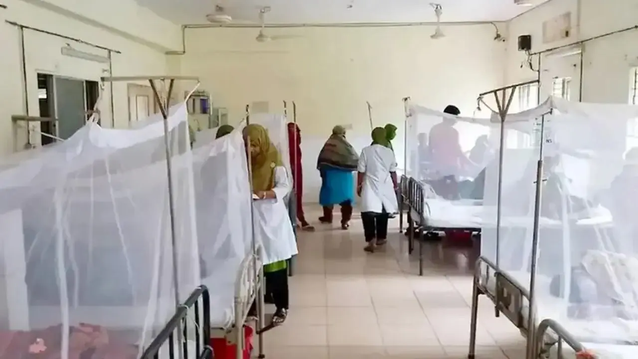 খুলনা বিভাগে এক দিনে রেকর্ড ৩৩৪ ডেঙ্গু রোগী হাসপাতালে